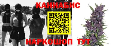 винт Партизанск