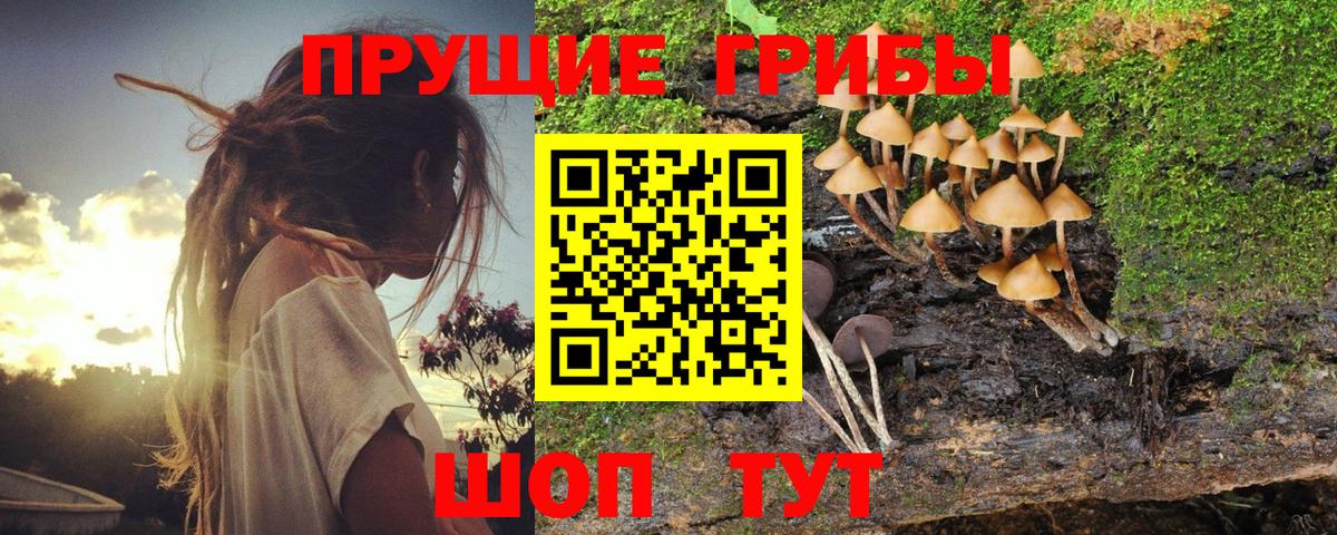 Псилоцибиновые грибы MAGIC MUSHROOMS Черногорск