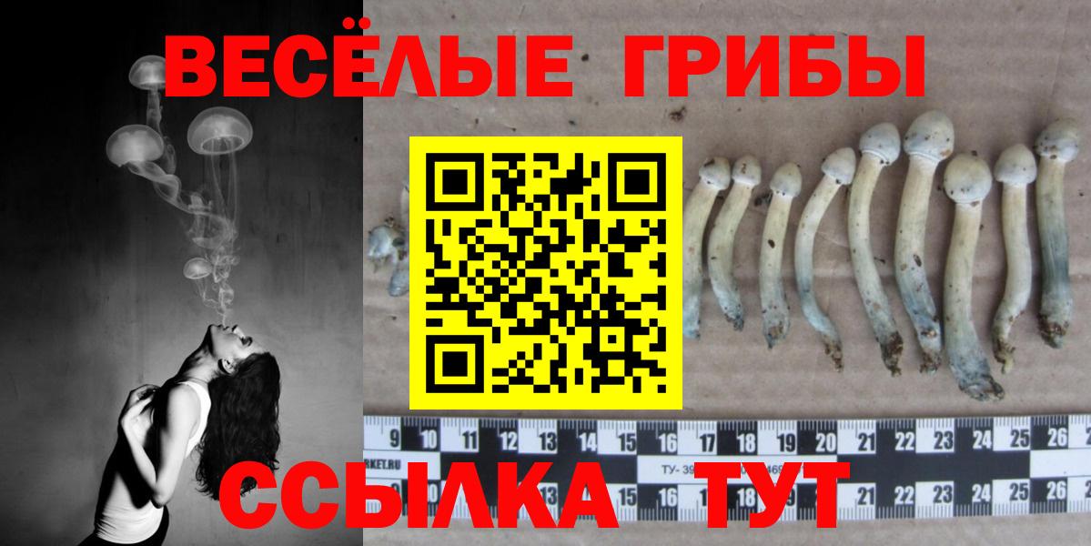 Черногорск  Псилоцибиновые грибы Magic Shrooms  Псилоцибиновые грибы мухоморы  Вход с VPN 